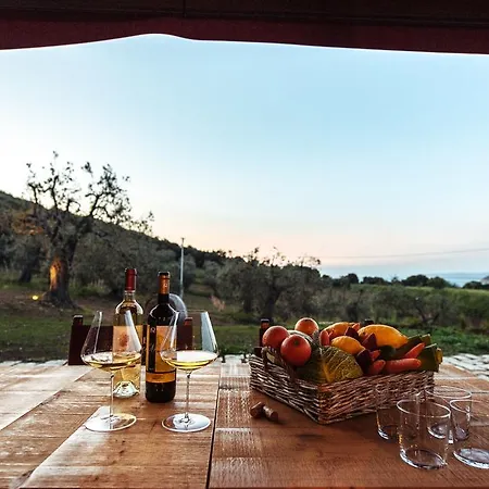 Farm stay Torre Di Baratti Bio