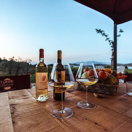 Torre Di Baratti Bio