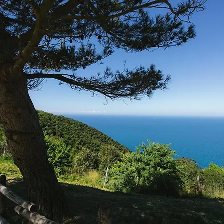 Farm stay Torre Di Baratti Bio