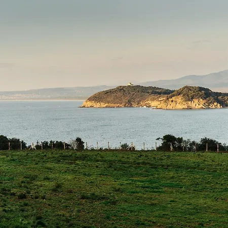 Torre Di Baratti Bio