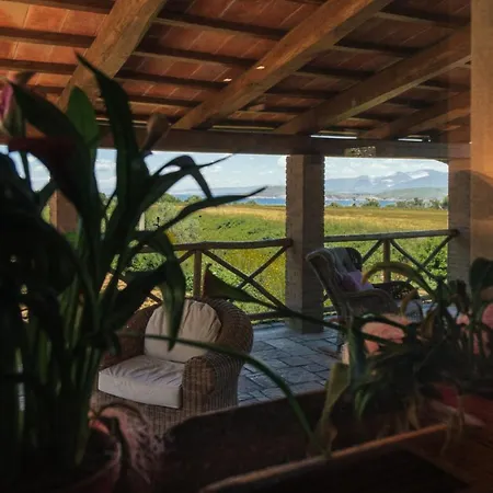 Torre Di Baratti Bio *
