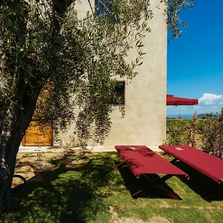 Torre Di Baratti Bio