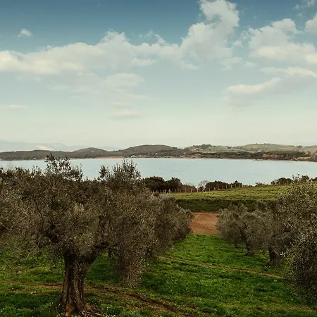 Farm stay Torre Di Baratti Bio Populonia