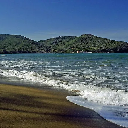 Farm stay Torre Di Baratti Bio *
